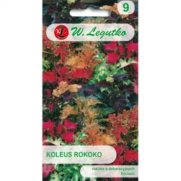 Semințe de coleus Rokoko, mix multicolor