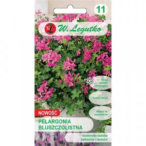 Semințe de mușcată Fuchsia F1