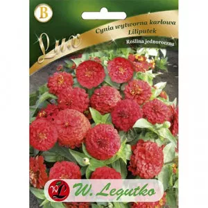 Semințe de zinnia (Cârciumăreasă) Liliputek pitică roșie