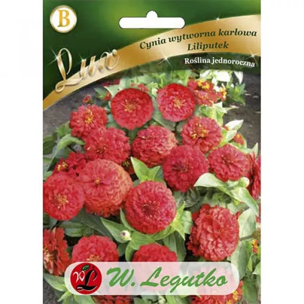 Semințe de zinnia (Cârciumăreasă) Liliputek pitică roșie