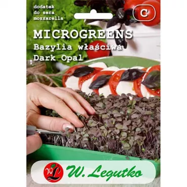 Semințe de microplante - Busuioc Dark Opal