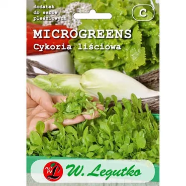 Semințe de microplante - Cicoare