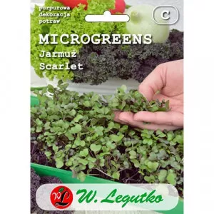 Semințe de microplante - Varză kale Scarlet