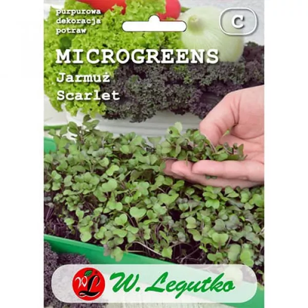 Semințe de microplante - Varză kale Scarlet