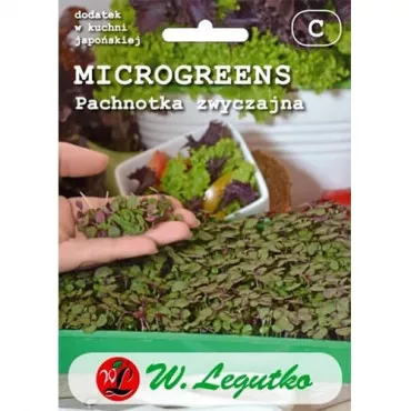 Semințe de microplante - Shiso (Perilla)