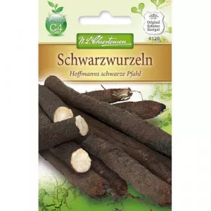 Semințe de scorțoneră Hoffmanns schwarze Pfahl