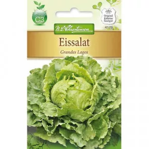 Semințe de salată iceberg Grandes Lagos