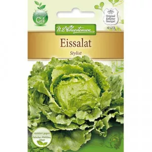 Semințe de salată iceberg Stylist
