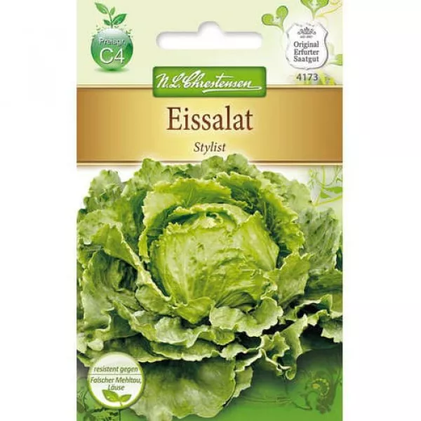 Semințe de salată iceberg Stylist