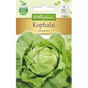 Semințe de salată verde Attraktion