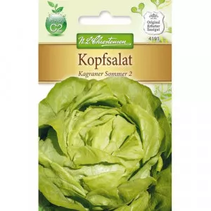 Semințe de salată verde Kagraner Sommer 2