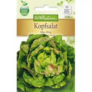 Semințe de salată verde May King