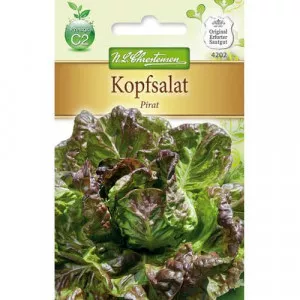 Semințe de salată verde Pirat