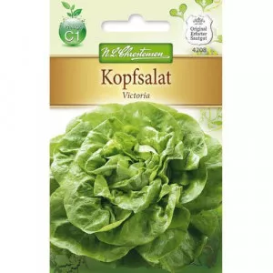 Semințe de salată verde Victoria