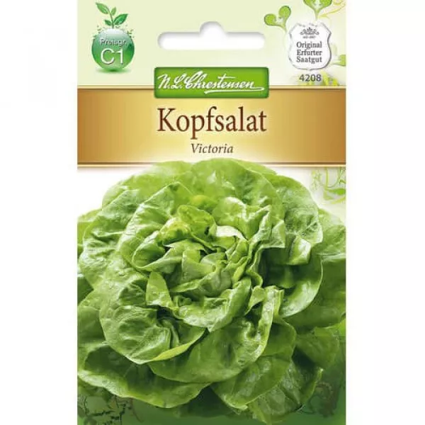 Semințe de salată verde Victoria Semințe de salată verde Victoria