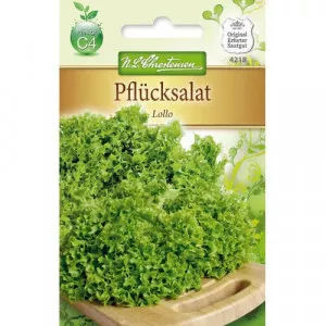 Semințe de salată Lollo