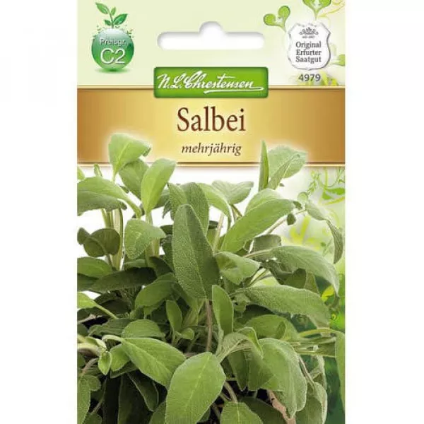 Semințe de salvie