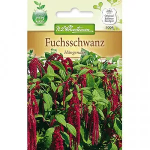 Semințe de moțul curcanului (Amaranthus)