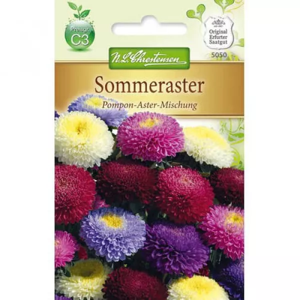 Semințe de ochiul boului Pompon, mix multicolor