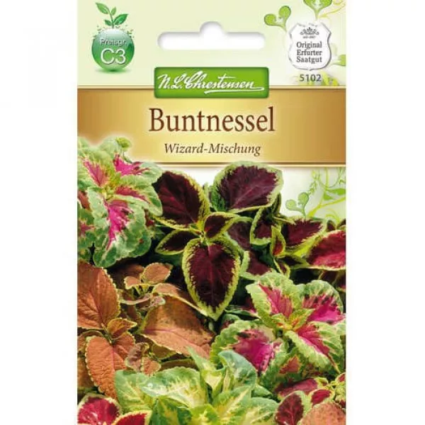 Semințe de urzică decorativă (Coleus) Wizard, mix multicolor