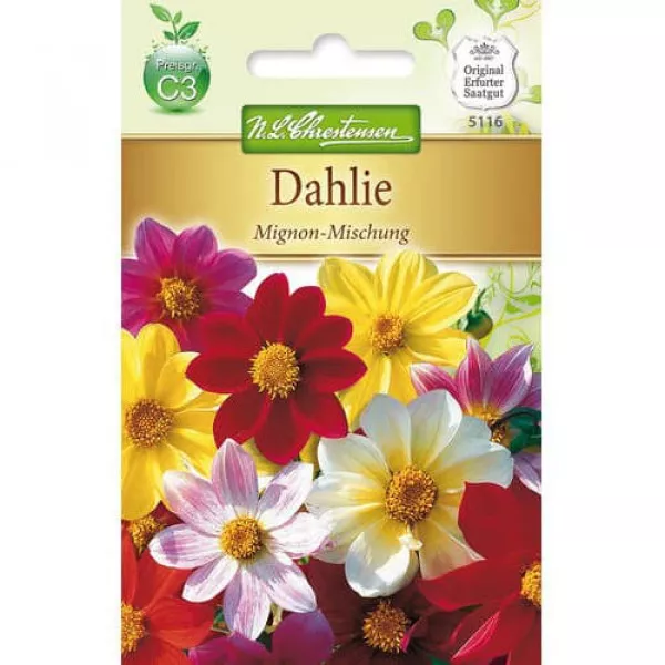 Semințe de dalii Mignon, mix multicolor