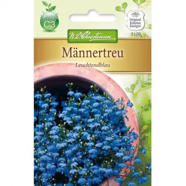Semințe de lobelia Bright Blue