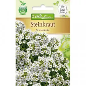 Semințe de lobularia Snow