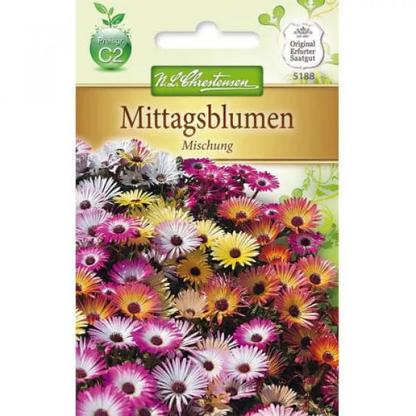 Semințe de floarea de cristal (Delosperma), mix multicolor