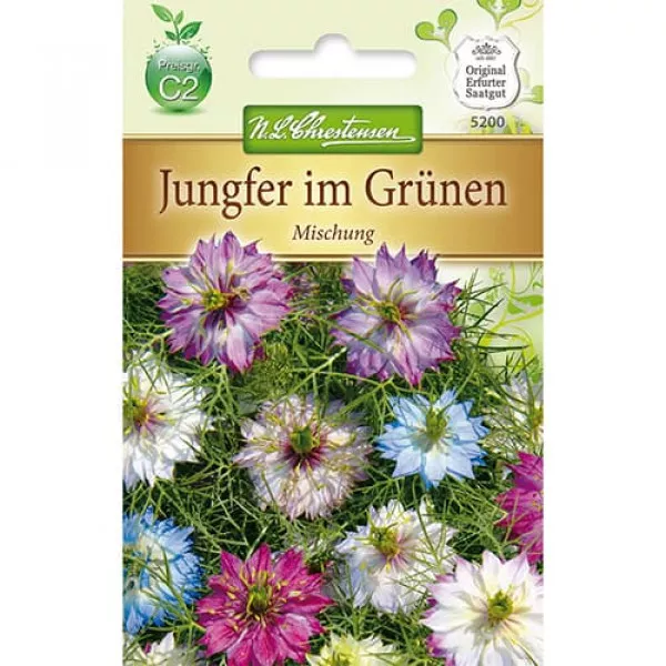 Semințe de nigella damascena, mix multicolor