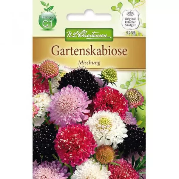 Semințe de scabiosa, mix multicolor