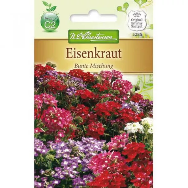 Semințe de verbena Colorfull, mix multicolor