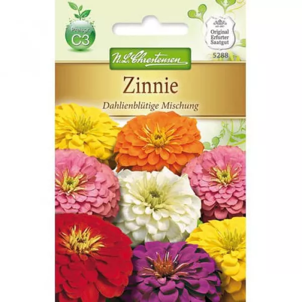 Semințe de zinnia (Cârciumăreasă) tip dalie, mix multicolor