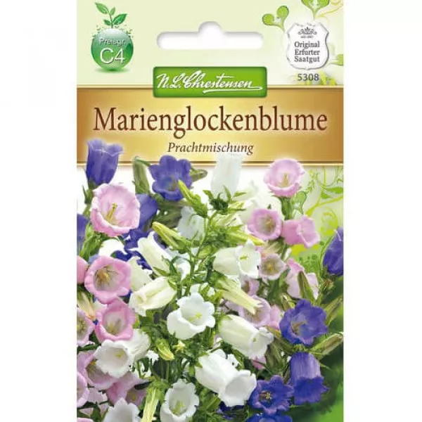 Semințe de clopoțel (Campanula), mix multicolor