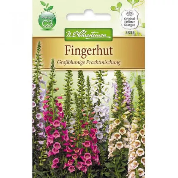 Semințe de degețel (Digitalis) cu flori mari, mix multicolor