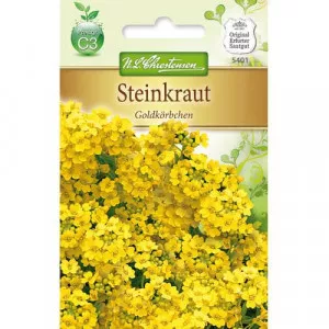 Semințe de alyssum Gold Cup