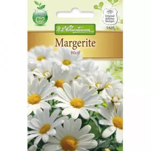 Semințe de crizantemă White