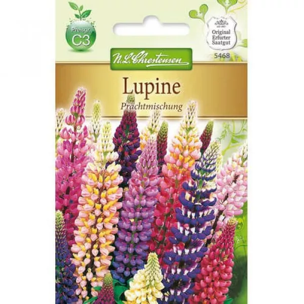 Semințe de lupin cu flori mari, mix multicolor