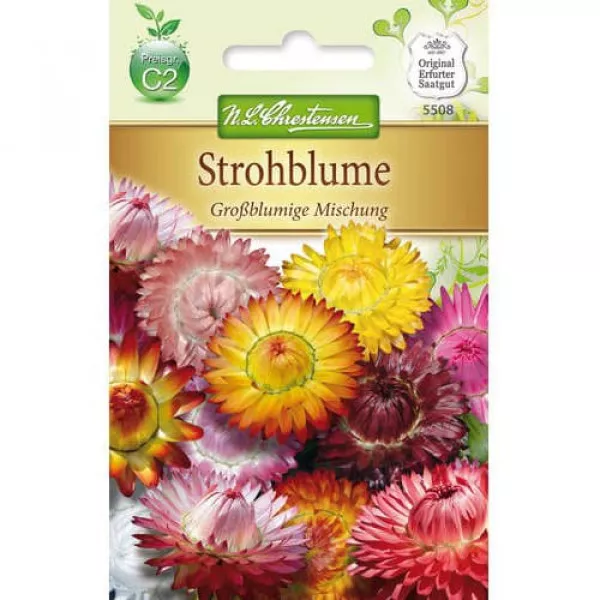 Semințe de helichrysum cu flori mari, mix multicolor