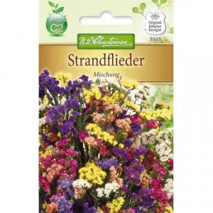 Semințe de limonium sinuatum (Sărăturică), mix multicolor