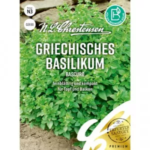 Semințe de busuioc grecesc Bascuro