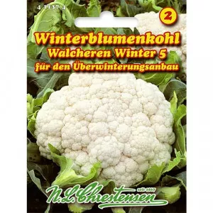 Semințe de conopidă Walcheren Winter 5