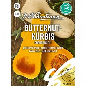 Semințe de dovleac Orange Nut F1
