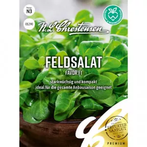 Semințe de salată de câmp (Fetică) Favor F1