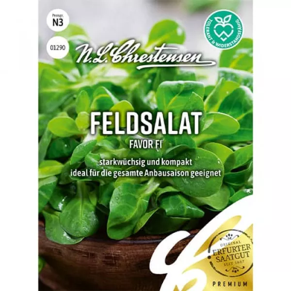 Semințe de salată de câmp (Fetică) Favor F1
