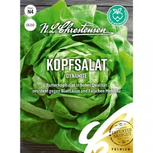 Semințe de salată verde Dynamite