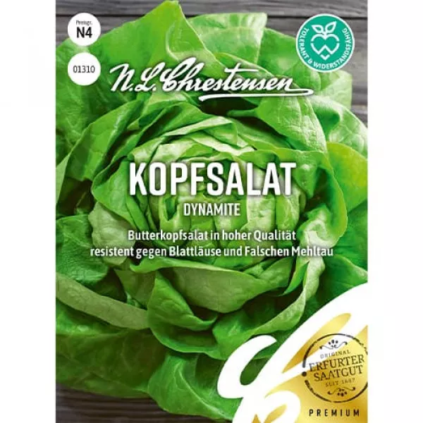 Semințe de salată verde Dynamite