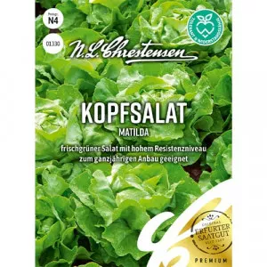 Semințe de salată verde Matilda
