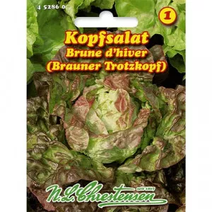 Semințe de salată Brune d'hiver