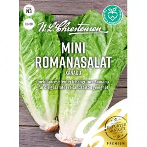 Semințe de salată romană Xanadu