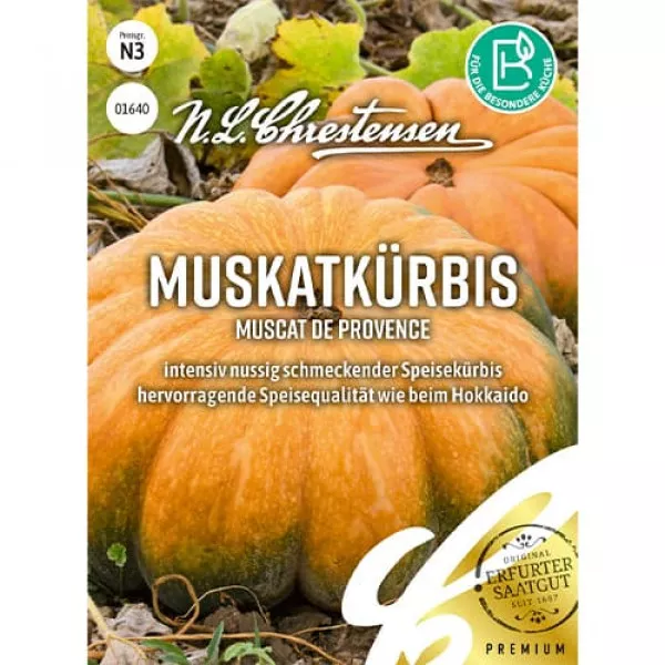 Semințe de dovleac Muscat de Provence